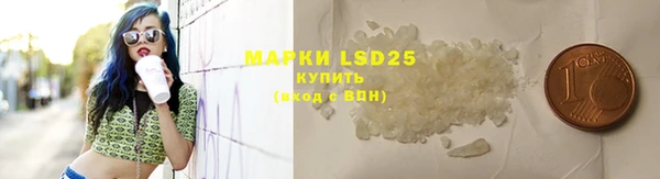крисы Абаза